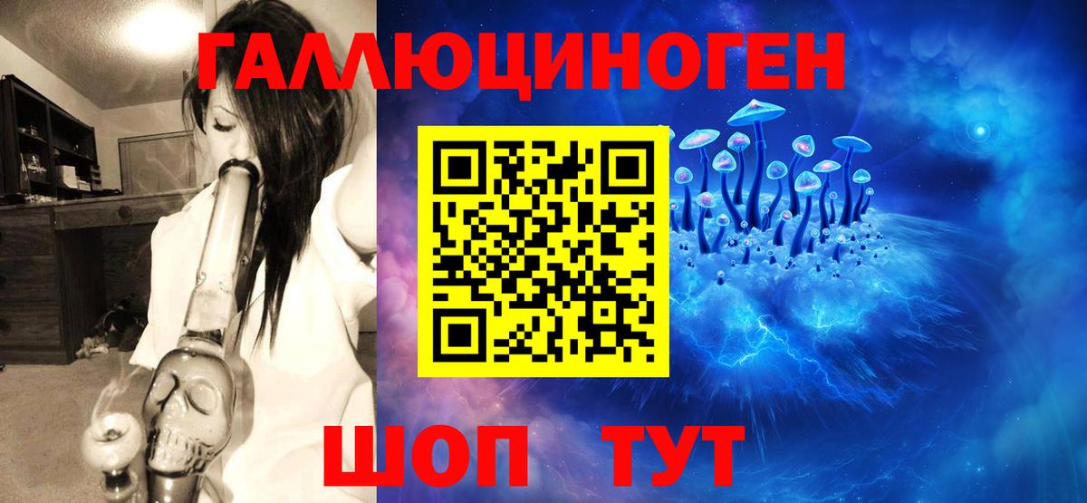 Псилоцибиновые грибы Psilocybine cubensis  Вход с VPN  Трёхгорный  Псилоцибиновые грибы прущие грибы 